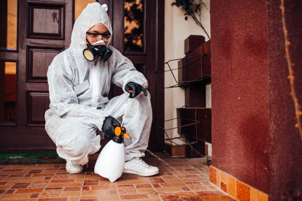 Reliable Ant Control contractor in Wind Lake, WI by Show Me Pest Control